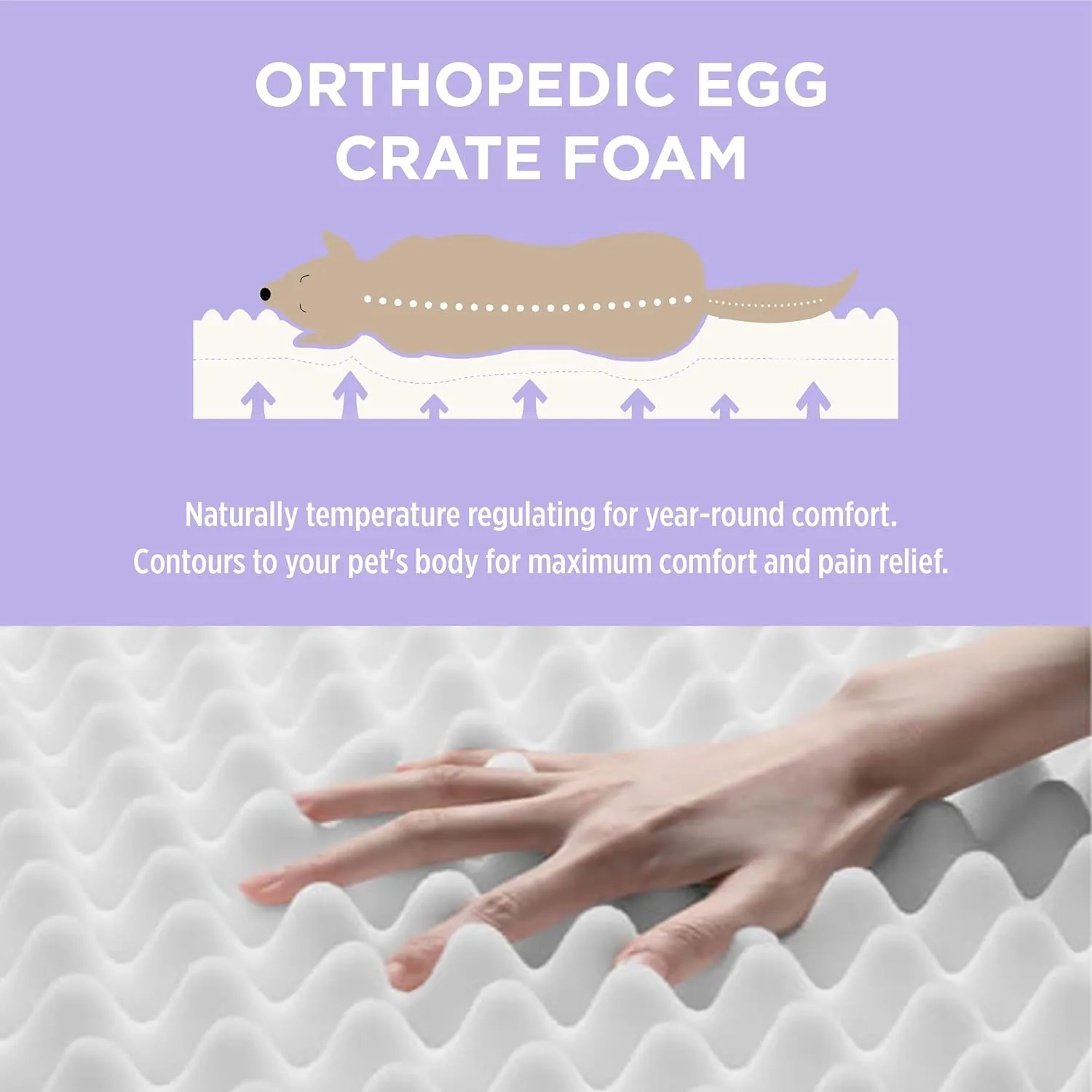 Lesure Outdoor Waterproof Dog Bed for Large Dogs, Orthopedic Egg Crate Foam Pet Bed with Oxford Fabric Surface and Removable and Durable Cover, Machine Washable, 36''x27'', Black