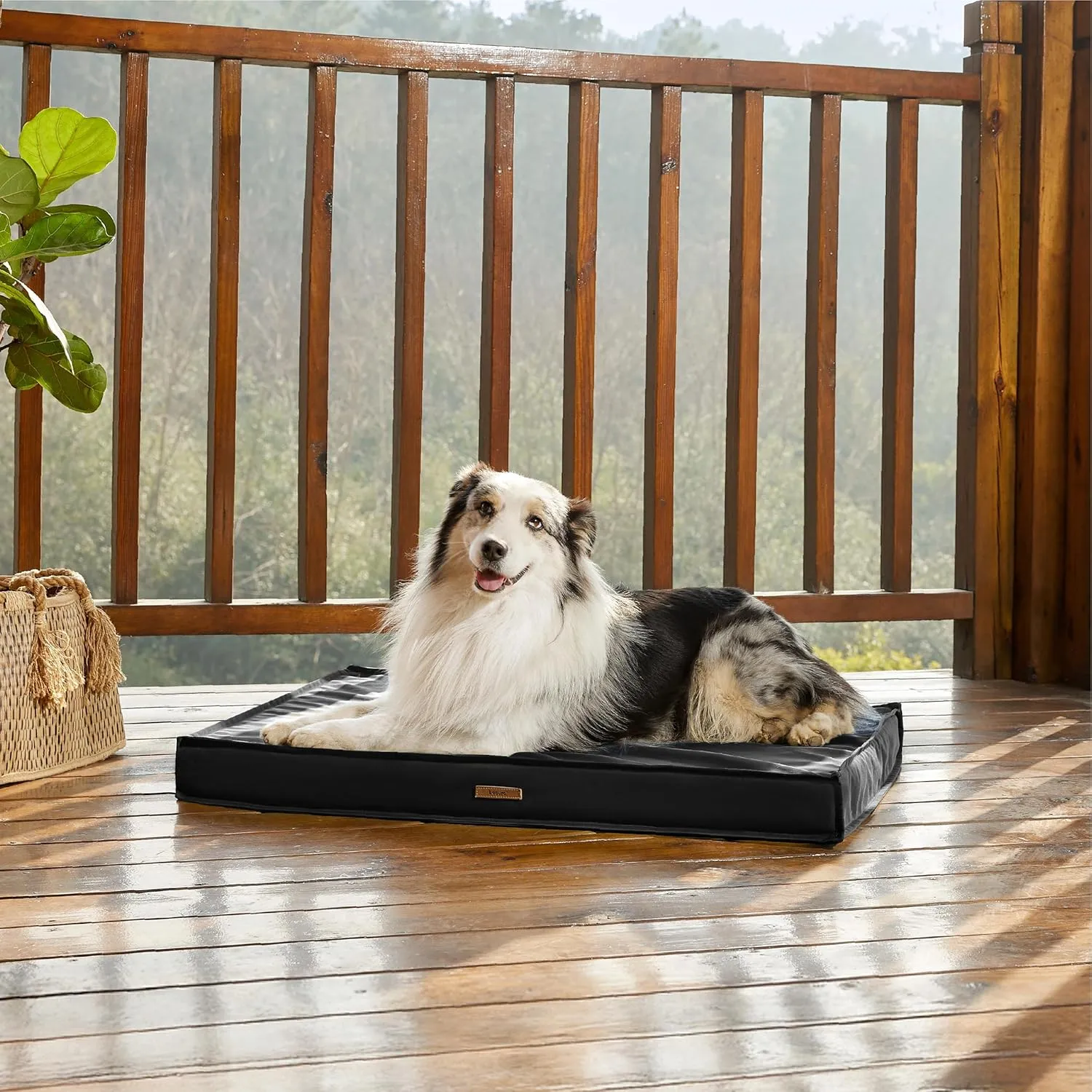 Lesure Outdoor Waterproof Dog Bed for Large Dogs, Orthopedic Egg Crate Foam Pet Bed with Oxford Fabric Surface and Removable and Durable Cover, Machine Washable, 36''x27'', Black