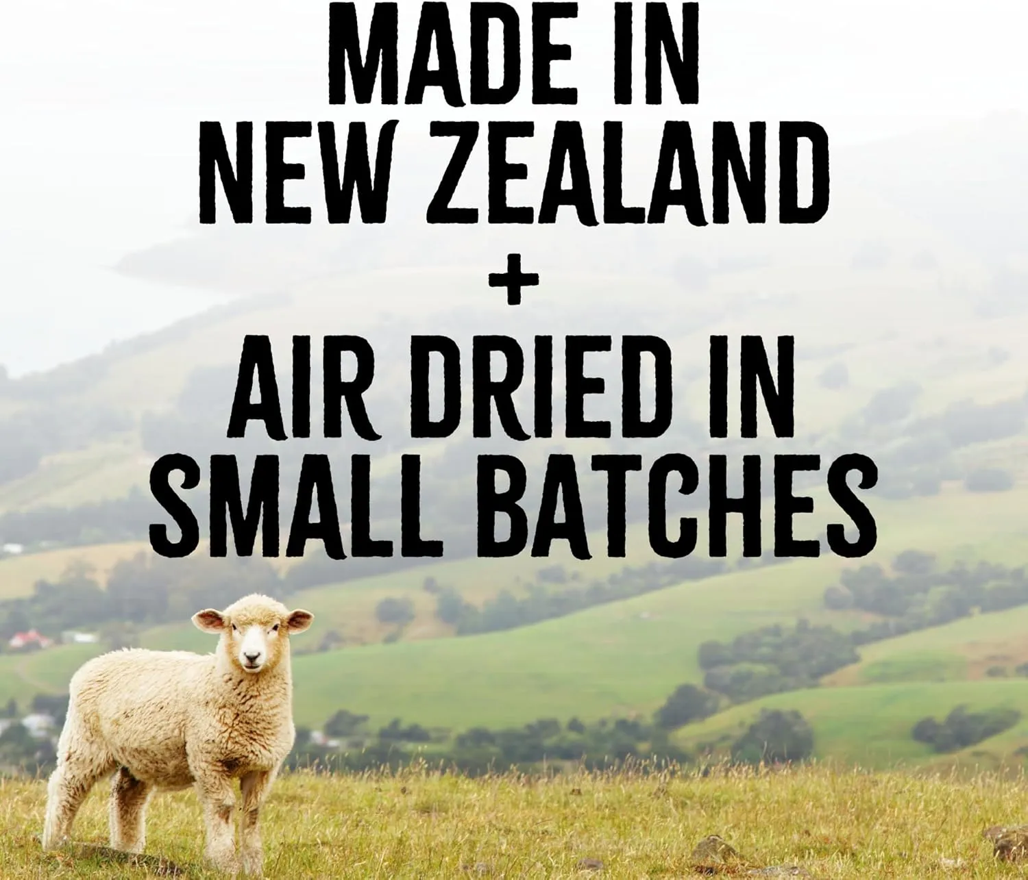 RawTernative Air Dried Dog Food, High Protein, Over 90% Real Lamb & Lamb Organs   New Zealand Green Mussels, Complete Meal or Topper, Grain Free, Gluten Free, Non GMO, (5 oz Bag)