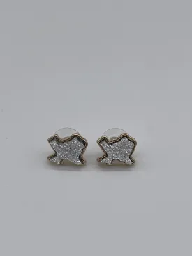 Texas Druzy Studs - Silver