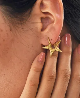 Tinted Star Studs